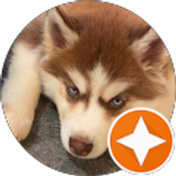 Profile photo of L I