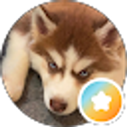 Profile photo of L I