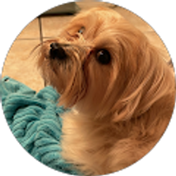 Profile photo of Denisse Camacho