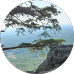 Profile photo of Mrs Sandoval