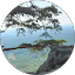 Profile photo of Mrs Sandoval