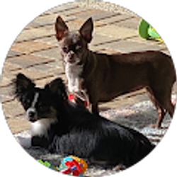 Profile photo of Diana Peck