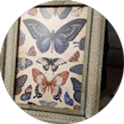 Profile photo of Delores Oglesby