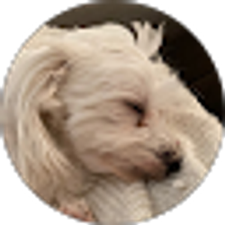 Profile photo of Isaac Betts