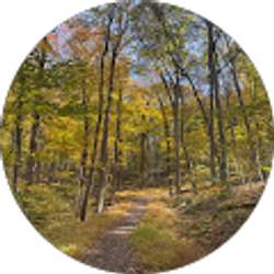 Profile photo of Cindy C