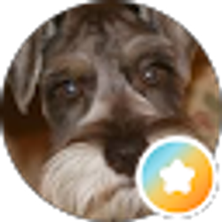 Profile photo of Mark Kelso