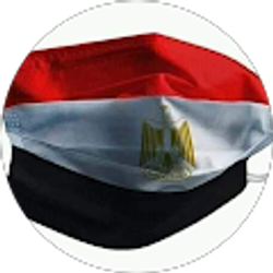 Profile photo of Galal Hassanein