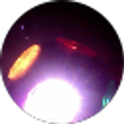 Profile photo of Nicole Dollmann