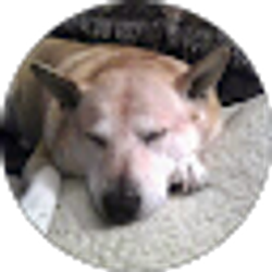 Profile photo of Patty Sergent