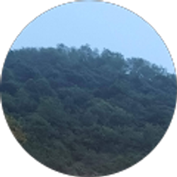 Profile photo of Manam Sai Subhash