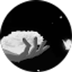 Profile photo of Brattany Funes