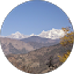 Profile photo of Anita N