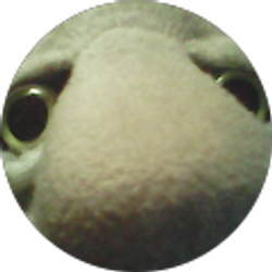 Profile photo of Dan Phillips