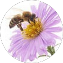 Profile photo of Deb Kuehne