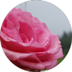 Profile photo of Jenna F.