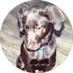 Profile photo of Maria Kahler