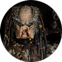 Profile photo of Craig Curry