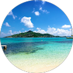 Profile photo of Dina Baalbaki