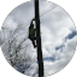 Profile photo of Jacob Collins