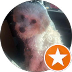 Profile photo of SoCalJinx Jinx