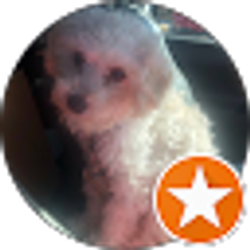 Profile photo of SoCalJinx Jinx