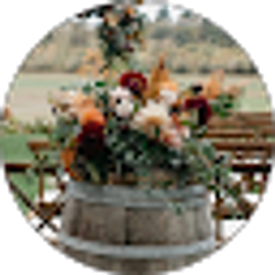 Profile photo of The Arrangement
