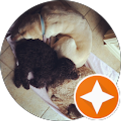 Profile photo of Michael Klass