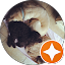 Profile photo of Michael Klass