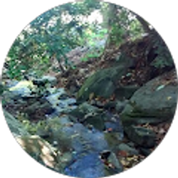 Profile photo of Annabelle Russell