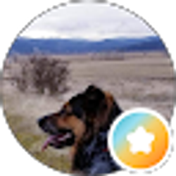 Profile photo of Arlo