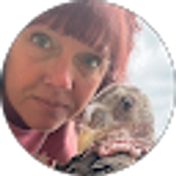 Profile photo of Shannon M Bibelhauser