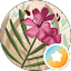 Profile photo of Bird's Eye Design LLC