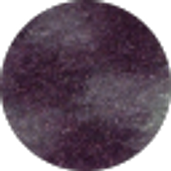 Profile photo of Mustafa