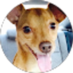 Profile photo of Polo’s Mama