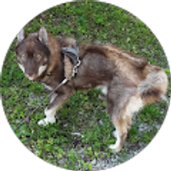 Profile photo of Michael Healy