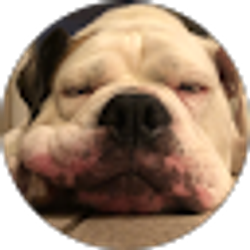 Profile photo of Bryana Snider