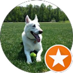 Profile photo of Jeffrey Collins