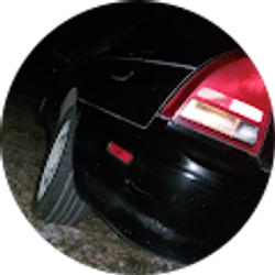 Profile photo of Shiloh Bear