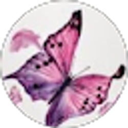 Profile photo of Diane Grassett