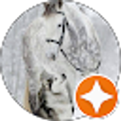 Profile photo of S Futran