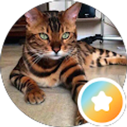 Profile photo of Bob Felton