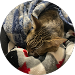 Profile photo of Sarah Boling