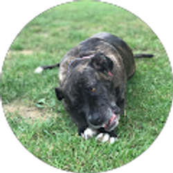 Profile photo of Dawn Weaver