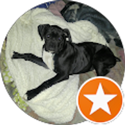 Profile photo of Hilary Kirk