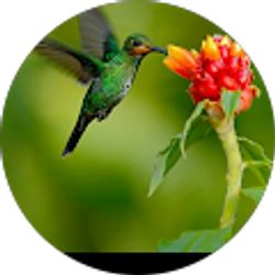 Profile photo of Deb Madden