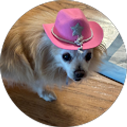 Profile photo of Marlon Vasquez