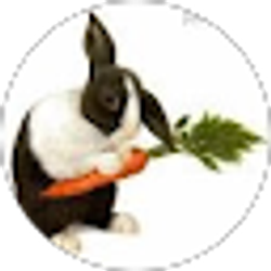 Profile photo of Barbara Curry-Kaufman