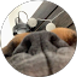 Profile photo of Drew Davis
