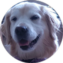 Profile photo of Louise Belline