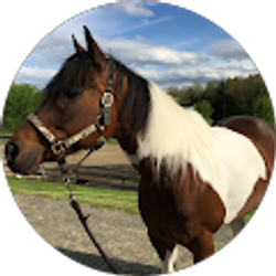 Profile photo of Taylor Lauzon